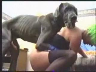 In this stunning bestiality film, Lucky K9 engages in intense animal sex with a married hunk - Zoo P